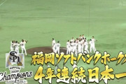 日本シリーズの感想ンゴ