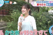 【日向坂46】みーぱん、かき氷が好きすぎてまさかの...w