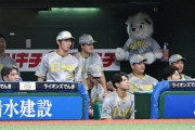 【悲報】西武ライオンズ（セイドラ）、最下位爆走中