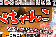 【ホロライブ】ホロメン同士がちょっと話し合えばすぐ解決する問題に割り込もうとしてくるリスナーって何考えてるんだろうな