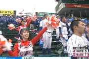 【画像】甲子園で陰好みのチアｗｗｗｗｗｗｗｗｗｗｗｗｗｗｗｗｗ