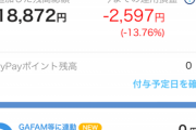 paypayボーナス運用久々に開いたらワロタ