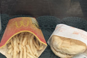 【画像】「マクドナルドは絶対腐らない」を検証してみた結果ｗｗｗｗｗｗｗｗ