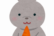 【ガチ勢頼む】ウサギ飼ってみたいんやがｗｗｗｗｗｗｗｗｗｗｗｗｗ