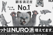 【悲報】NURO光でFPSやった結果…→