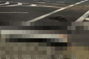 訴えられてもおかしくないレベルの危険な横断歩道が見つかる　どうなってんのよこれ・・・