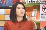 フジ「ルフィ逮捕wwwwwギャハハハwwwww」神田アナ(元NHK)「フジテレビって凄いですね…」