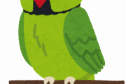 インコをペットにするのおすすめｗｗｗｗｗｗｗｗｗ