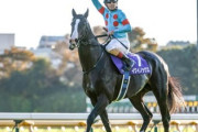 日本競馬界イクイノックスのせいで最強馬議論ができなくなってしまう