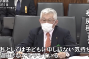 中国「日本では政府を批判出来るのか…」 日本の市長が国会で行なった発言に驚きと感動の声