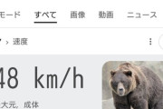 【悲報】クマさんの足の速さ、想像以上だった。市街地だと自動車よりも早く走れるらしいｗｗｗｗ