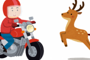 爆走してるバイクって鹿とか飛び出してきたらどうすんの？
