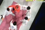 フェンシング決勝の解説wwwwwww