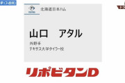 日本ハム、ガチで謎の選手を指名ｗｗｗｗｗｗｗ