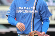 日ハム根本、7回途中2失点の好投も勝ち負け付かず「ホームランを打たれた1球が悔やまれます」
