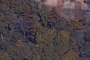 【画像】グーグルマップで近所の空撮を眺めてたら森の中に謎の神社があったわ