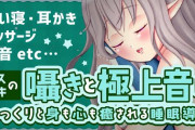 ASMR配信で1人変な奴が……