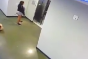 【動画】犬がエレベーターに巻き込まれてめちゃめちゃに・・・