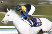 今年の競馬板流行語候補何がある？