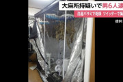 【画像】Z世代さん、アパートで大麻を栽培して２億稼いでしまうｗｗｗｗ