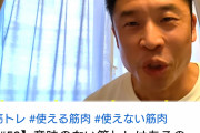 筋トレ系ユーチューバーの王。なかやまきんに君、小島瑠璃子の発言を受けて動画を投稿