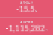 X民「新NISA年初一括で購入した民の末路です。ご査収ください」ﾊﾟｼｬｯ → 投稿された画像がえぐすぎるｗｗｗｗｗ