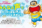 ガリガリ君の新味募集、「梨」「コンポタ」を超えるアイデアを/赤城乳業