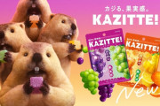 【朗報】グミ界隈、『KAZITTE！(カジッテ』が無事覇権へ