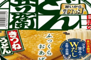 １０分どん兵衛美味いとか言ってる奴の正体ｗｗｗｗｗｗｗ