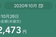 【悲報】ワイちゃん、クレカを作ってウッキウキで使うも請求額を見てあえなく分割に変更?