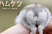 【癒し】動物のおしりの写真が見たい♡