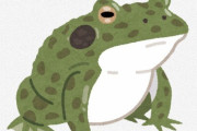 日本で食用ガエルが流行らない理由ｗｗｗｗｗｗｗｗｗ