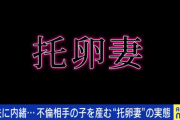 【増える托卵妻】日本の托卵の実態　産婦人科医「托卵は６％～１０％。増えているし、本人にもあまり罪悪感もない。」