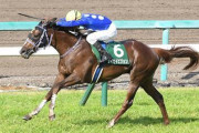 【競馬予想】[1]第66回阪急杯(GⅢ) /2022