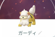 【ポケモンGO】「色違いヒスイガーディ」ゲットした？「タスク、2ｋｍ、７ｋｍタマゴ」効率が一番いいのは？
