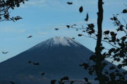 富士山登ったことあるやついる？