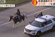 米・シカゴの高速道路を馬で疾走　カウボーイを逮捕 (動画)