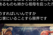 【画像】オタクさん、姉に大切なタペストリーを切り刻まれてしまう