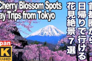 首都圏から日帰りで訪ねる桜の名所7選　富士山・城・寺を彩る春の絶景を紹介する参考動画