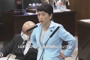 【国会動画】福島みずほ「性的動向（ハニトラ）調査は、ＬＧＢＴＱや性的嗜好も対象になり得るのか。本当にショック」秘密保護法
