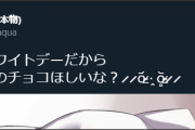 【謎お菓子文化】ホワイトデーにチョコを返す意味←それは意味わからんてｗｗ【あくたんそれって…】