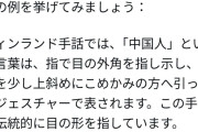【悲報】フィンランド人「本当に馬鹿げている、フィンランドの手話ではあのつり目ジェスチャーが中国人を指すものです」