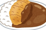 【画像】最高のカツカレー