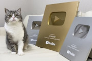 【朗報】推定月収「数千万円」のペット系YouTuber、たった一年半で金の盾が届くｗｗｗｗｗ