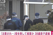 【終国】無職男性(38)、｢いろいろと注意されて頭にきた｣と母親を殺害か ←これ?