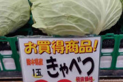 あなたの街のスーパー、キャベツの値段いくら？