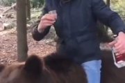【悲報】陽キャロシア人「お前あのクマに乗ってこいよ」陰キャ「無理無理！」