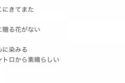 【乃木坂46】北野日奈子さん、分かる・・・分かります・・・