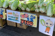 【悲報】白菜さん、コロナのせいで5玉100円まで値下がってしまう...