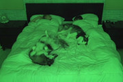 いつも飼主さんと一緒に寝るハスキー2匹♪夜中の行動をこっそり撮影してみたら…？？